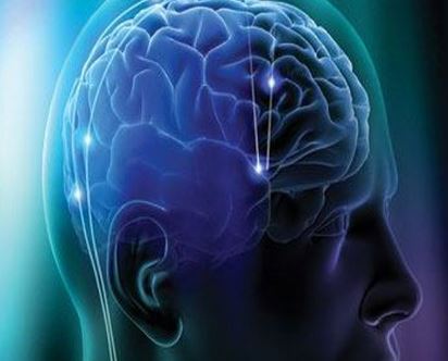 L’insula del cervello è correlata alle emozioni del gioco