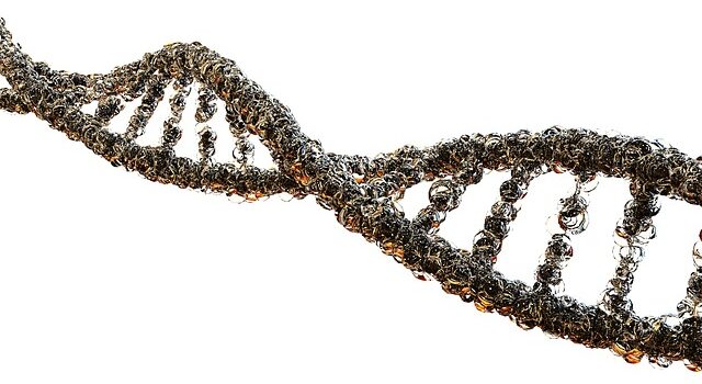 Complementazione genetica: cos’è e cosa c’è da sapere