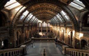 Musei
