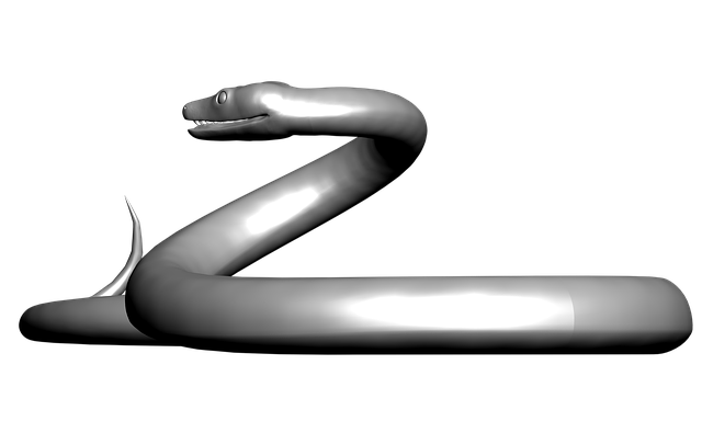 Serpenti: caratteristiche, curiosità e simbologia