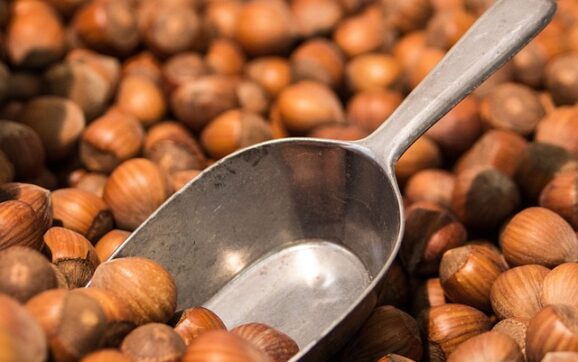 I frutti di certe tavolette di cioccolato: quali sono le proprietà delle nocciole?