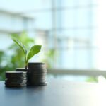 Solana e patrimonio: quando l’adozione della rete diventa un fattore di rischio